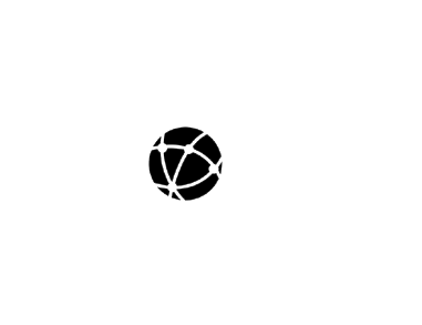 Why Choose Us